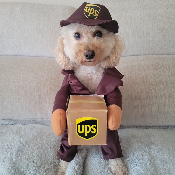 ups Other - UPS Delivery Dog Costume with Cap and Box